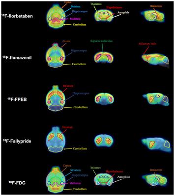 Corrigendum: Amyloid pathology induces dysfunction of systemic neurotransmission in aged APPswe/PS2 mice